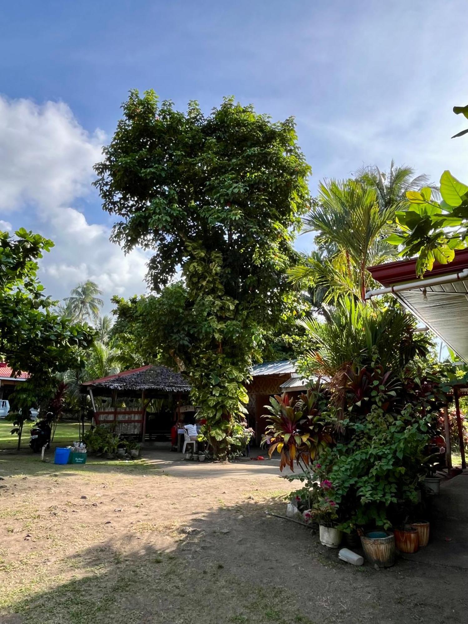 Paco'S Garden Home Stay Mambajao Kültér fotó